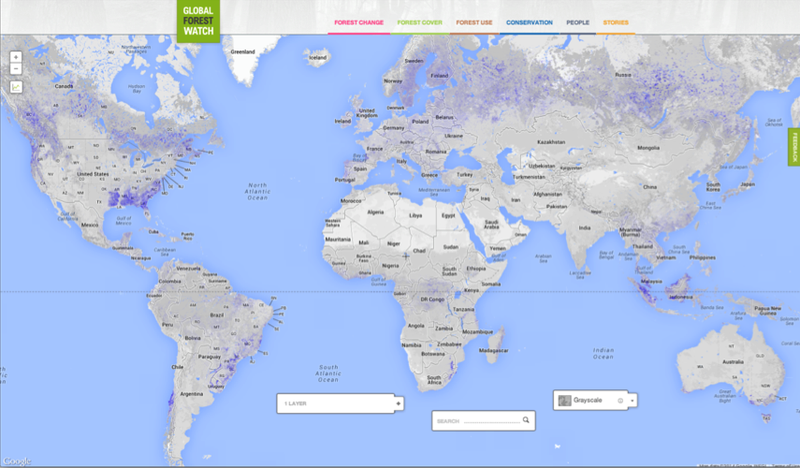 Illustration for article titled Google Launches Tool to Monitor Deforestation in Near-Realtime